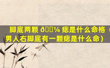 脚底两颗 🌼 痣是什么命格（男人右脚底有一颗痣是什么命）